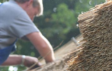 professional Pontfaen thatchers